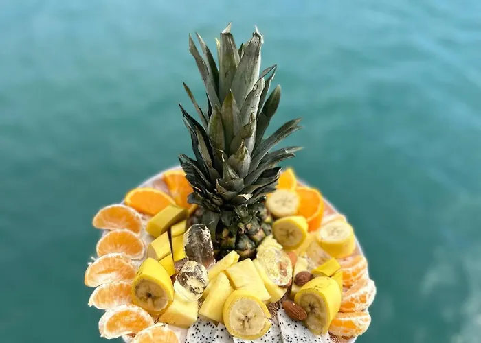 Apollon Boat Tour بوتيل *